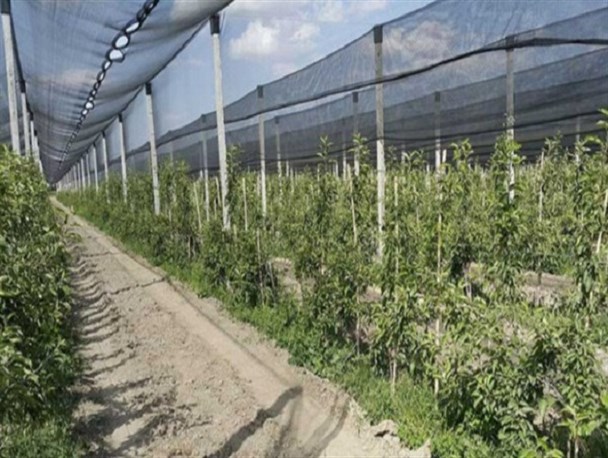 مدرن ترین طرح ۴۰ هکتاری سایبان باغ کرمانشاه در حال اجراست