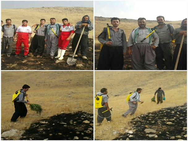 5 هکتار از مراتع شهرستان روانسر طعمه حریق شد