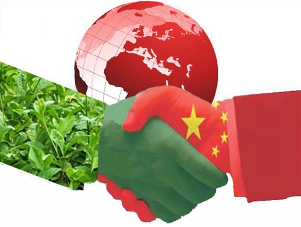 حضور سرمایه گذاران چینی در صنعت چای املش/این وعده هم بگذرد!