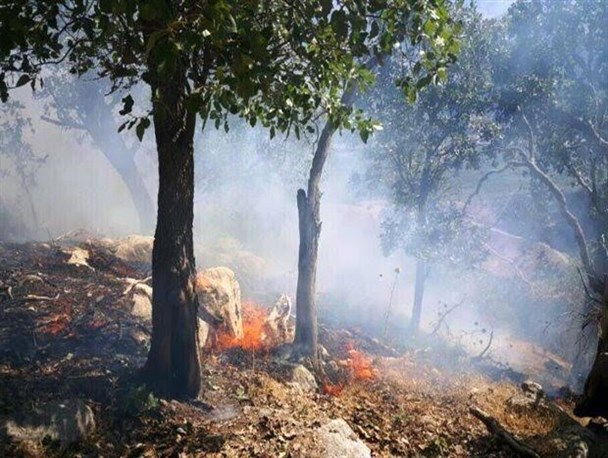 مهار آتش‌سوزی جنگل ها و مراتع دیل و مارین با کمک بالگرد/40هکتار از اراضی این شهرستان طعمه حریق شد