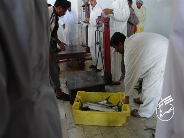 ماهیگیری در سواحل پسابندر چابهار
