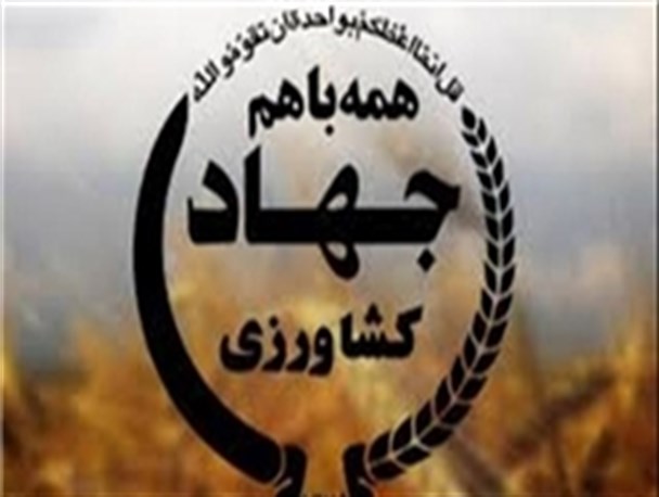 سرپرست جهادکشاورزی تویسرکان منصوب شد