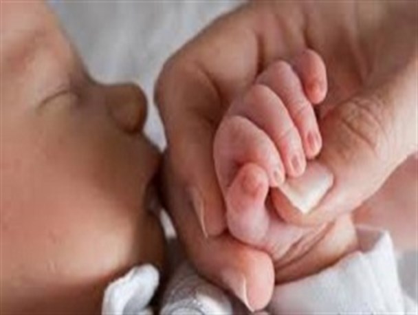 حرکت خزنده قم برای افزایش جمعیت +جدول