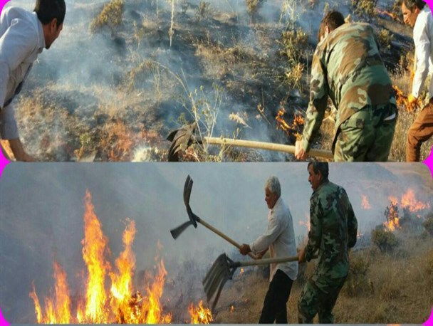 مراتع روستای زرگران بخش انگوران ماهنشان در آتش سوخت/ مهار حریق توسط یگان منابع طبیعی و نیروهای مردمی +تصاویر