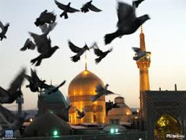 نقده میزبان پرچم بارگاه رضوی