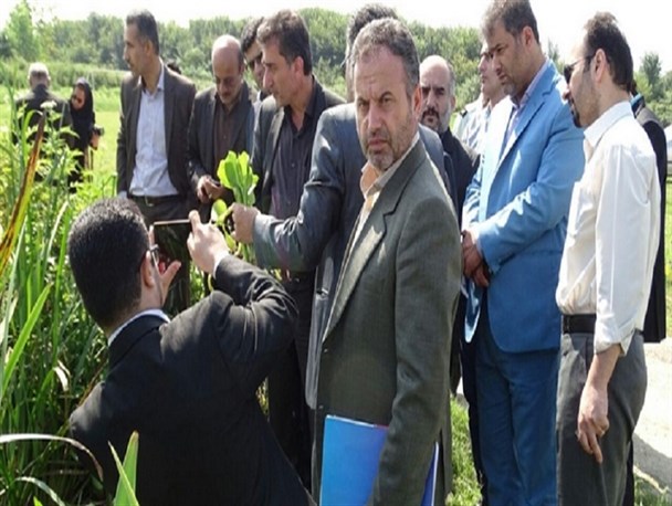 همه دستگاه های اجرایی شهرستان برای مقابله با «سنبل آبی» باید پای کار باشند