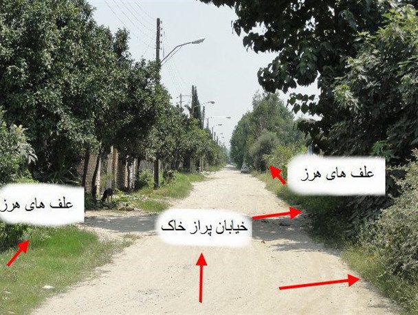 سهم اهالی شهرک فرهنگیان کردکوی از خدمات شهری چقدر است؟+تصاویر