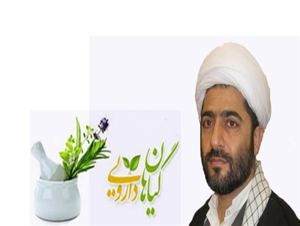 توضیع گیاهان دارویی و رساندن ثواب به روح شهدای مدافع حرم