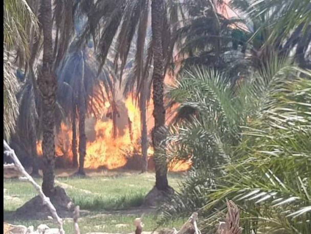 نخلستان‌های تنهک بزمان طعمه حریق شد/ مهار آتش سوزی پس از ۲۴ ساعت