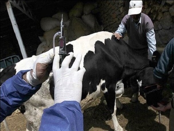 آغاز رزمایش گروه های جهادگر متخصص در مناطق عشایری