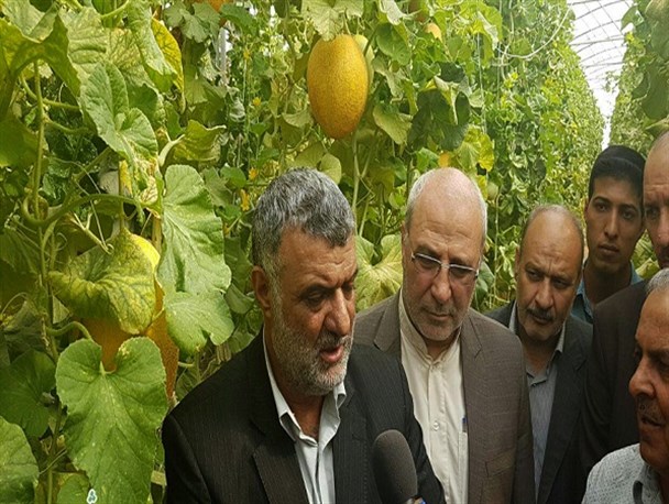 بخشی از بدهی دولت به کشاورزان تا پایان هفته آینده پرداخت می شود