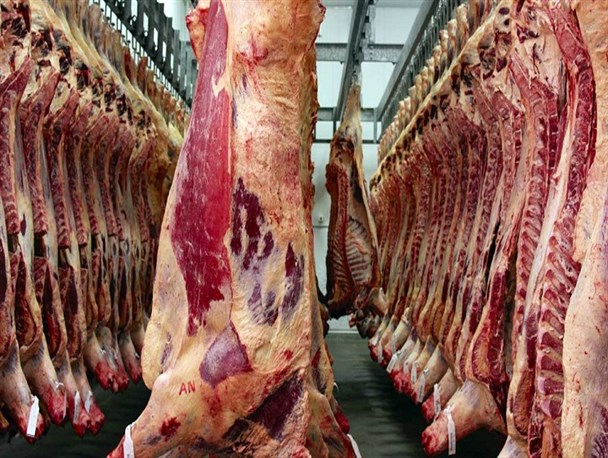 فعالیت ۱۲ ایستگاه پرورش دام اصلاح نژاد در میبد