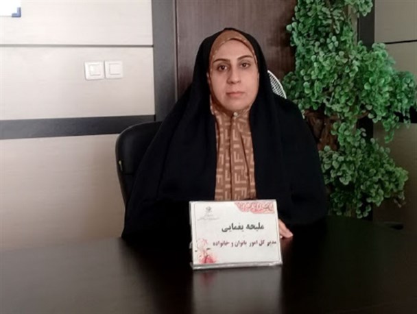 بازار مجازی مشاغل خانگی زنان فرصتی برای بهره‌وری بیشتر است