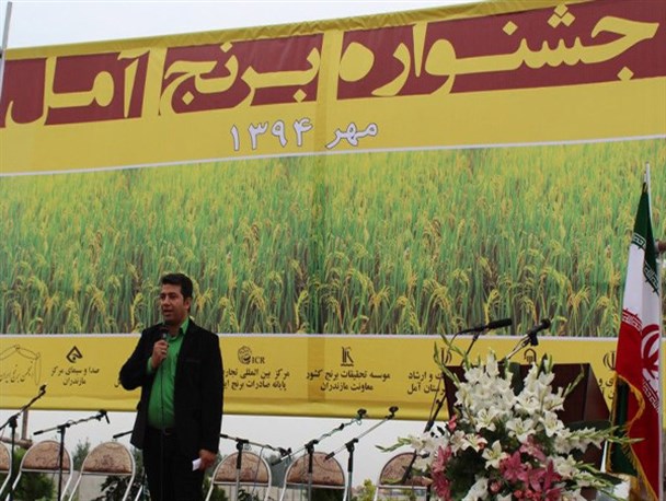 نخستین جشنواره برنج مازندران در آمل+تصاویر