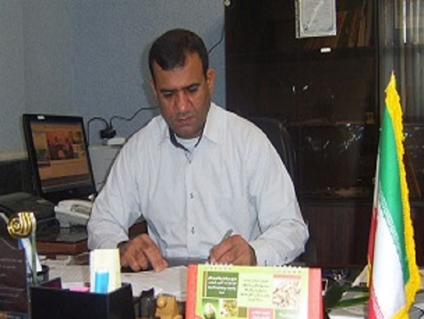 عصای سفید نماد خود اتکایی و زندگی مستقل اجتماعی است
