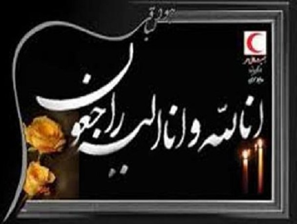پیام تسلیت مدیرکل ورزش و جوانان استان در پی شهادت سردار حسین همدانی