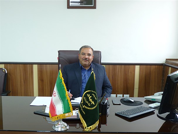 چیپس سیب درختی راهی موثر برای جلوگیری از ضایعات سیب