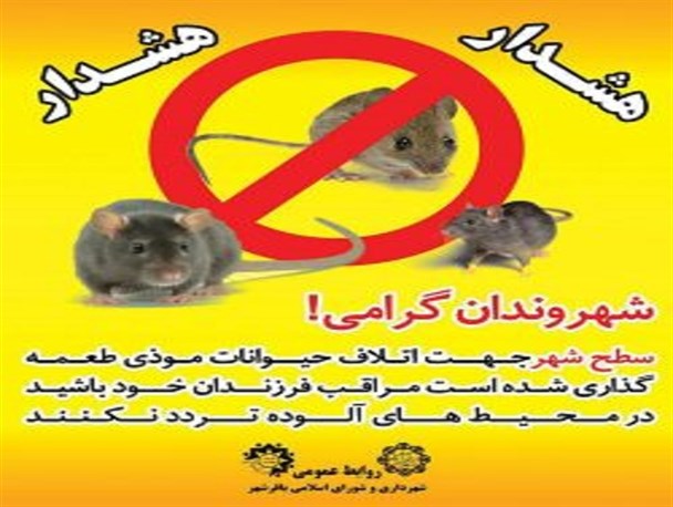 آغاز طرح طعمه گذاری برای موش ها در سطح شهر باقرشهر