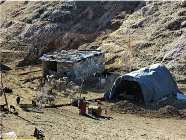 فیلم تکان دهنده از زندگی عشایر گچساران/اینجا زندگی جریان دارد+فیلم