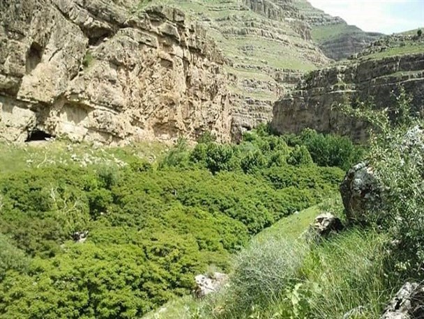 مطالعات منابع طبیعی پارک ملی "تندوره" به زودی آغاز می‌شود