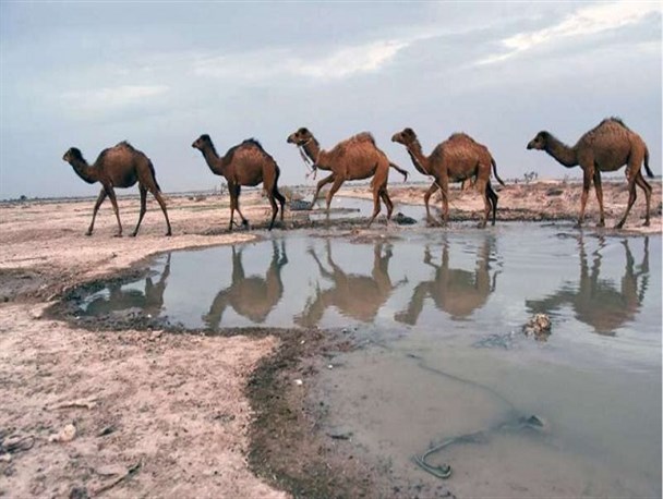 بحران بیکاری و مهاجرت؛ ره‌آورد خشکی تالاب بین‌المللی جنوب شرق کشور/ احیای جازموریان ۲۰ سال زمان می‌برد