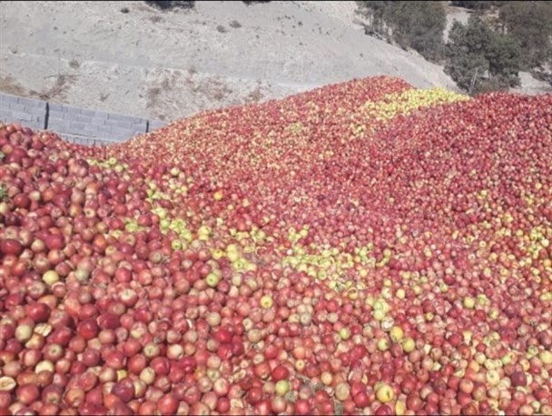 باغداران "سی سخت" همچنان چشم انتظار اجرای مصوبات سفر رئیس جمهور+تصاویر