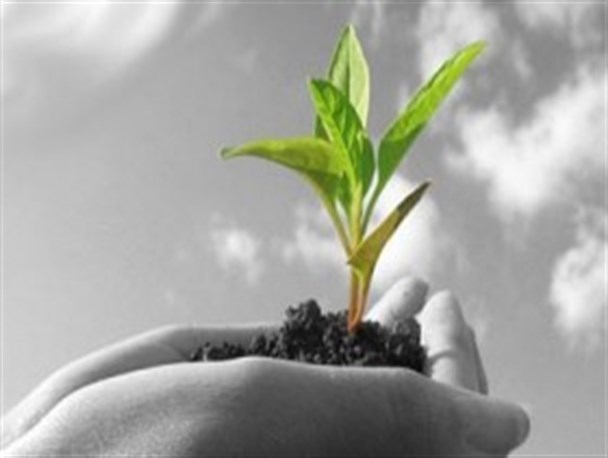 ۵ سایت الگویی جامع در استان قزوین ایجاد شد