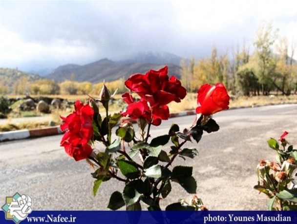 طبیعت پاییزی تپه عباس آبادهمدان