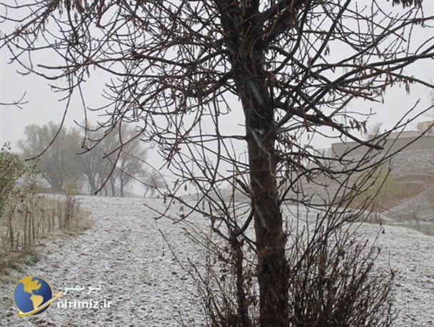 بارش برف چهره ای زمستانی به نیر بخشید