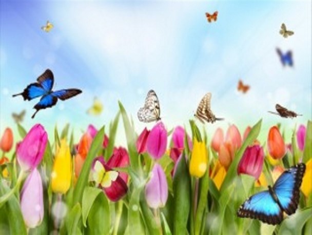 دوستی که تمام زندگیم شده