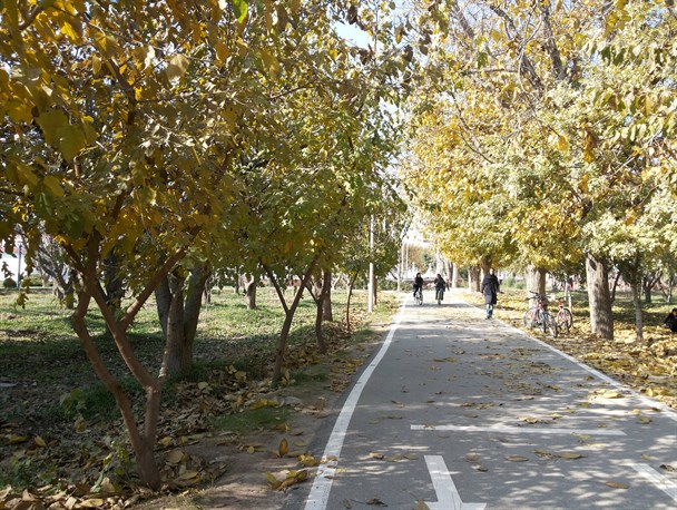 طبیعت دل انگیز پاییزی کرج به روایت تصویر
