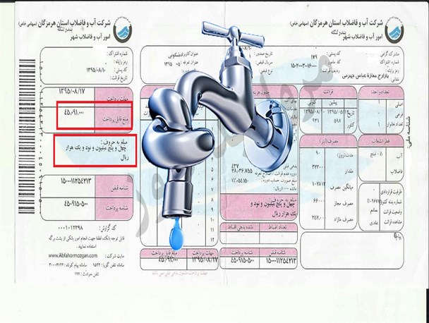 آب خانه ام را قطع کردند / ریشه درخت را عامل مصرف زیاد آب دانستند