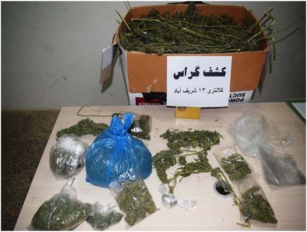 دستگیری قاچاقچی توزیع‌کننده مواد مخدر گراس در ابهر/ 20 تن چوب جنگلی قاچاق در زنجان کشف شد