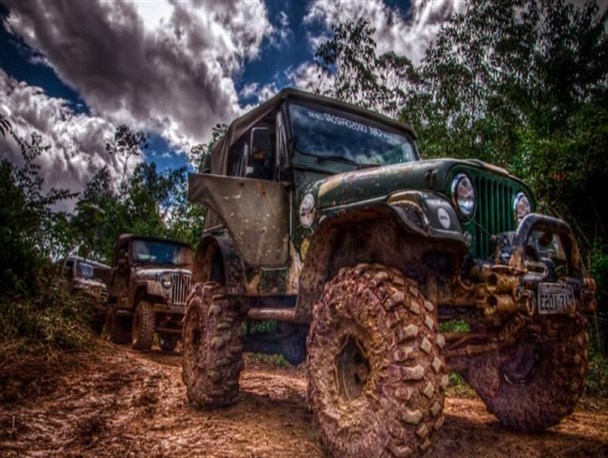 آفرود؛ هیجانی به قیمت مرگ طبیعت/پای غیربومی‌ها روی گلوی جنگل