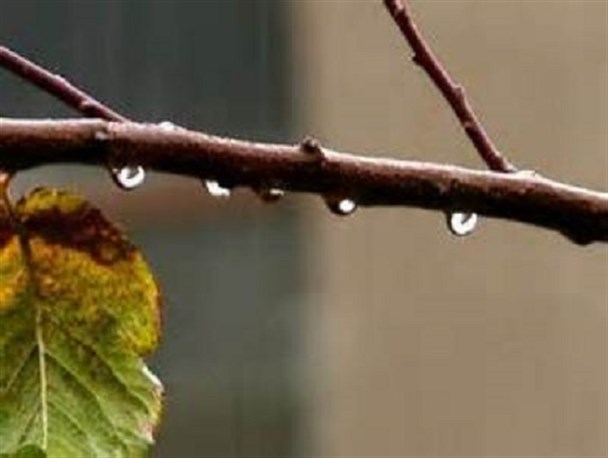 افزایش ۱۰ درصدی بارندگی در رشتخوار