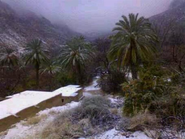 روستای زاکین بهشتی در غرب بندرعباس/تصاویر