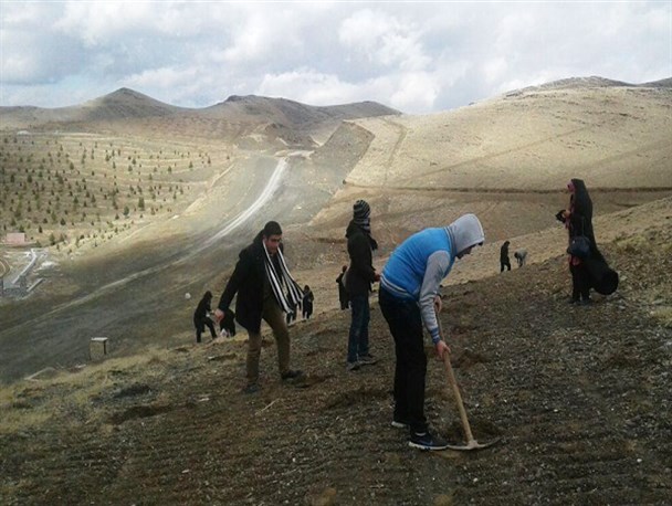 جنگلانه، مشارکتی برای کاشت درخت + تصاویر