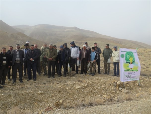 طرح ملی جنگلانه در روستای اروانه + عکس