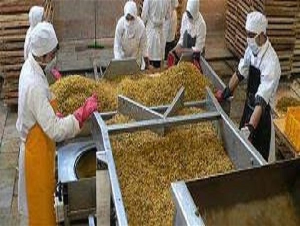 خنداب نیازمند احداث کارخانه تولید کشمش به ظرفیت ۲۰ هزار تن است/تولید در خنداب صادرات از ملایر