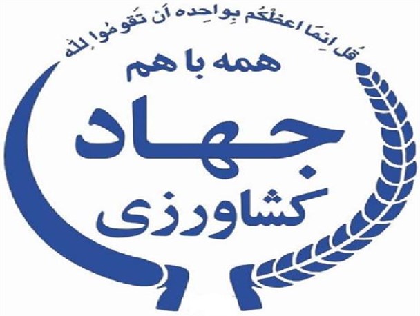 راهکارهایی برای مبارزه با آفتاب‌سوختگی زمستانه درختان میوه