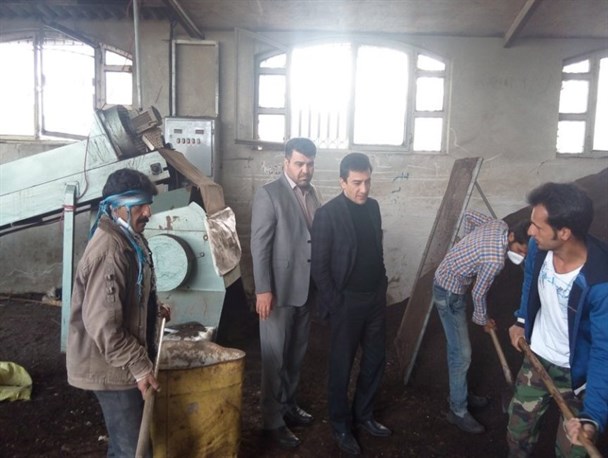 کشت بذر گوجه فرنگی در بیش از 1200 هکتار مزارع شهرستان رامیان+ تصاویر