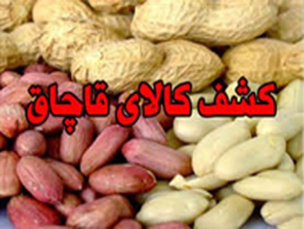 کشف محموله ۲۵ میلیاردی خشکبار قاچاق در بناب