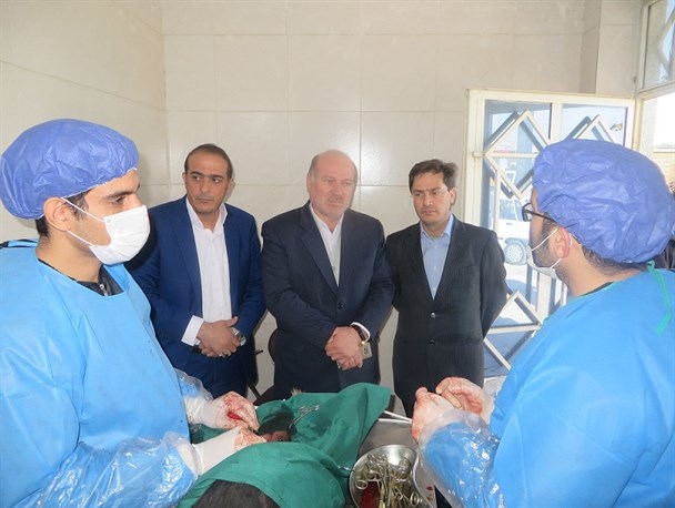 طرح جمع آوری و عقیم سازی سگ های ولگرد آغاز شده است