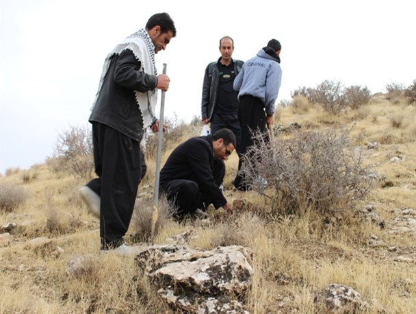 کاشت بذر بلوط در کوه امله گیلانغرب به همت دوستداران طبیعت+ تصاویر