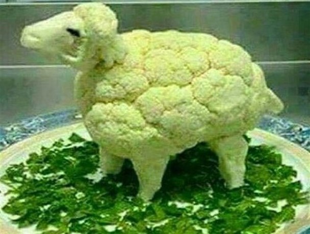 عکس روز: گوسفند گل کلمی