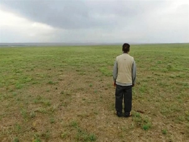 دشتی نفرین‌شده که اولین پایگاه تولید پسته ارگانیک در جهان شد+تصویر