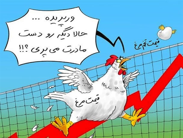 بی‌زحمت لاکپشت‌ها تندتر برن