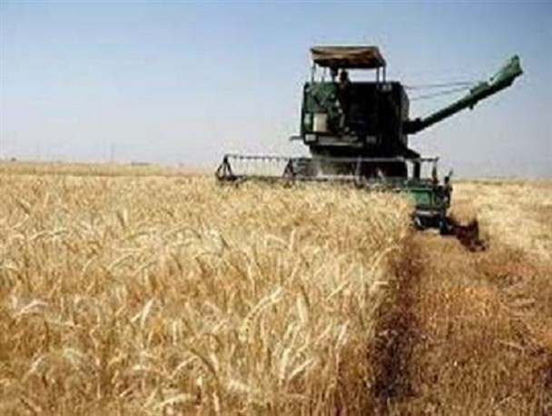 کوتاهی صندوق‌های بیمه در پرداخت هزینه کشاورزان