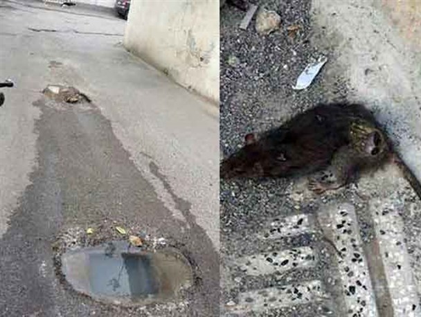 گلایه شهروندان کوی بازرگانی گرگان از عدم رسیدگی شهری/ کمیسیون عمران شورای شهر گرگان قول مساعدت داد