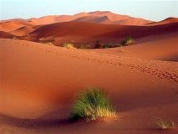 کنترل فرسایش بادی با اعتبار ۱۱میلیارد ریالی/نهال‌کاری در ۲۰۰ هکتار از کانون‌‌های بحران آران و بیدگل